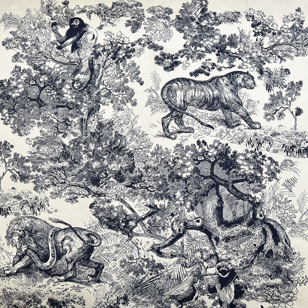 wsxc1744747077853_3.jpg