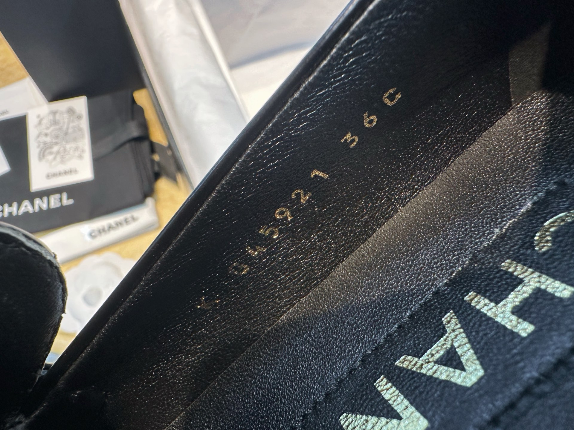 wsxc1748426325941_4.jpg