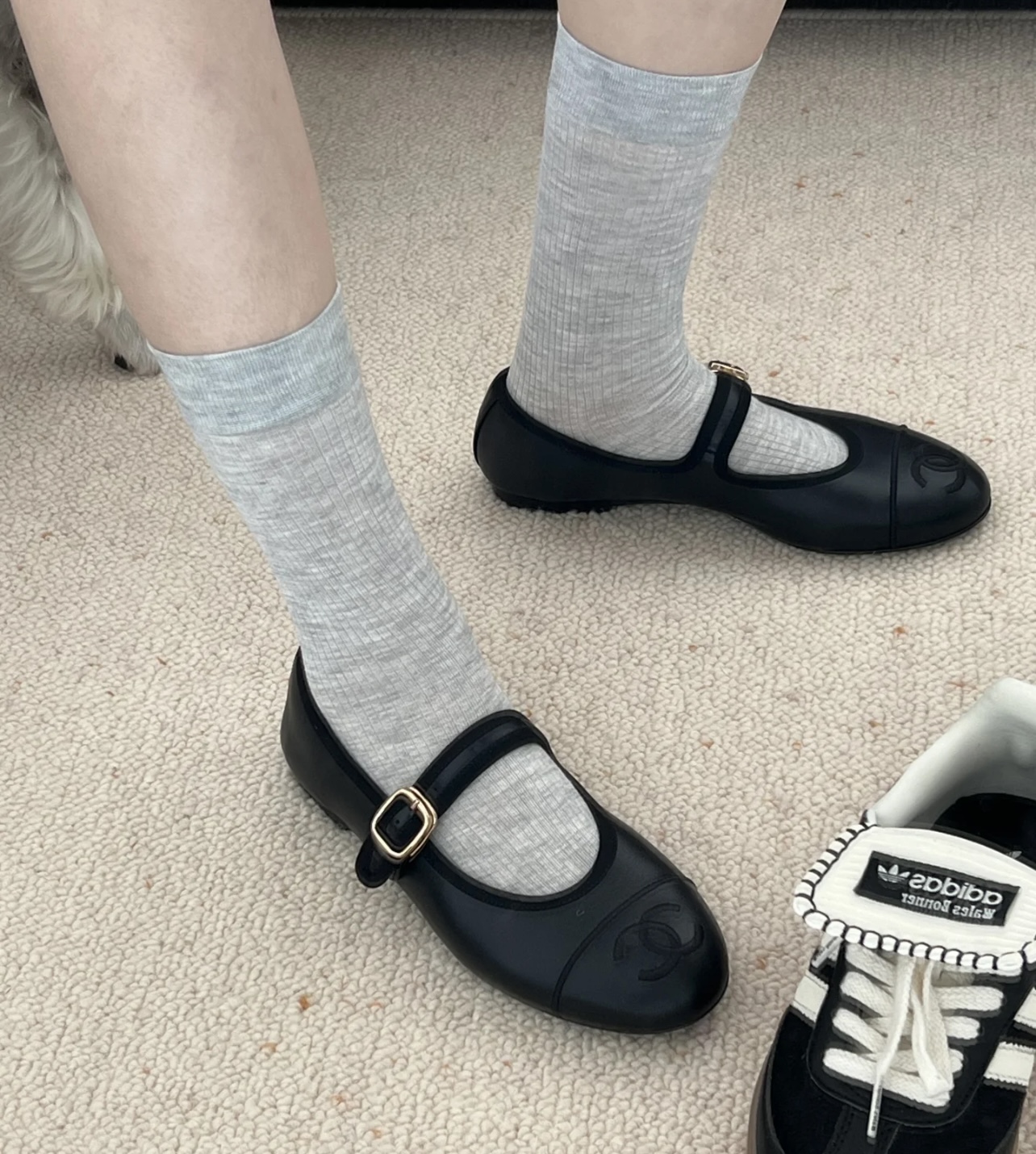 wsxc1753566416372_2.jpg