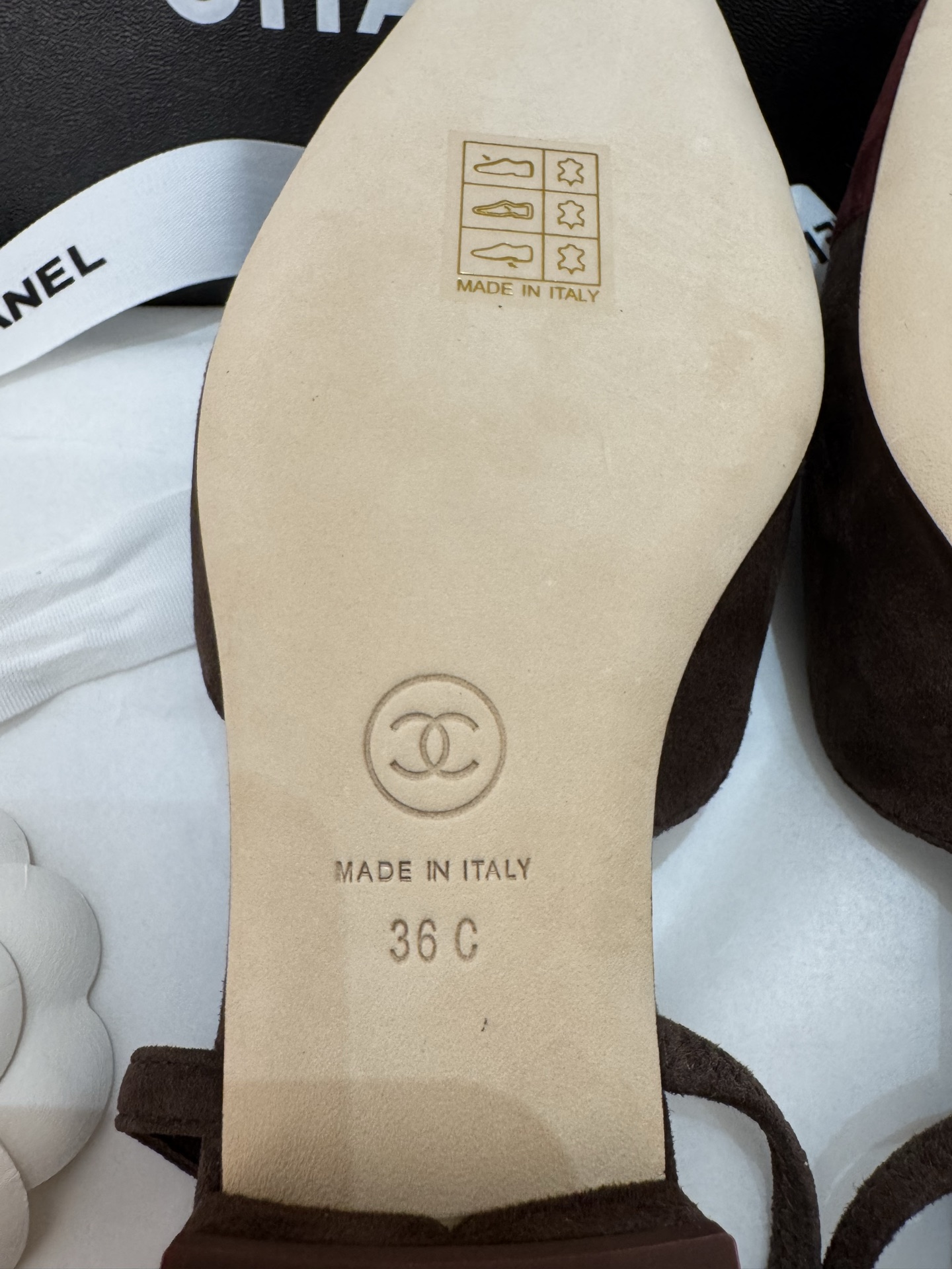 wsxc1756242105599_6.jpg