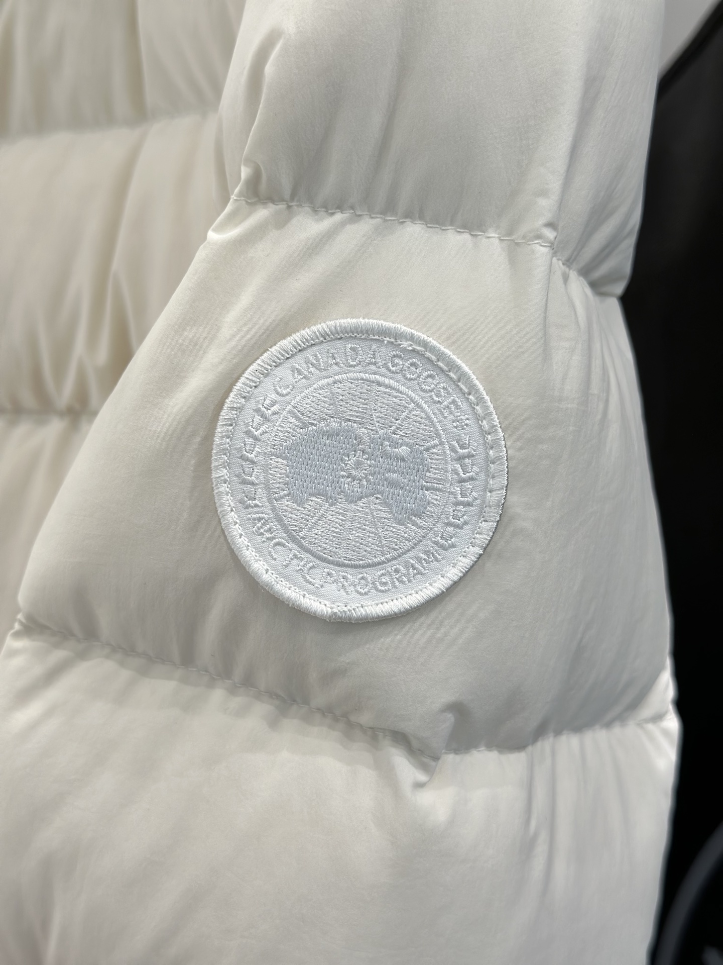 wsxc1766614011345_3.jpg wsxc1766614011345_3.jpg