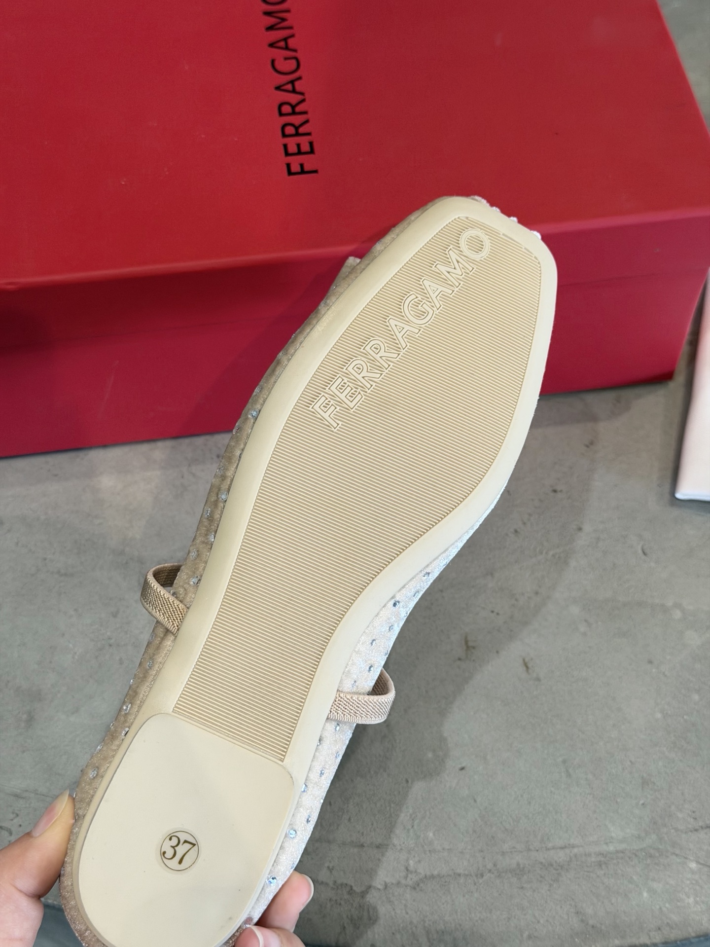 wsxc1768598719063_8.jpg wsxc1768598719063_8.jpg