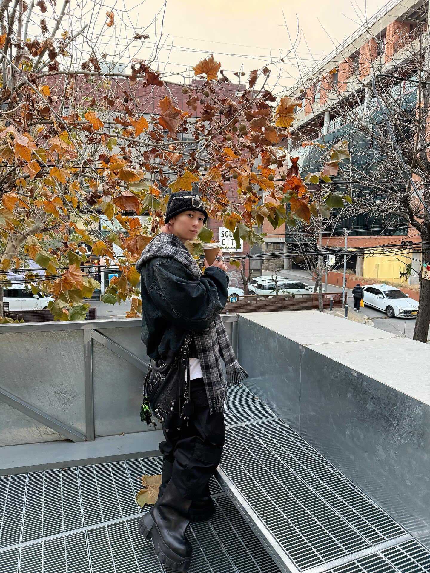 wsxc1769379717808_6.jpg wsxc1769379717808_6.jpg