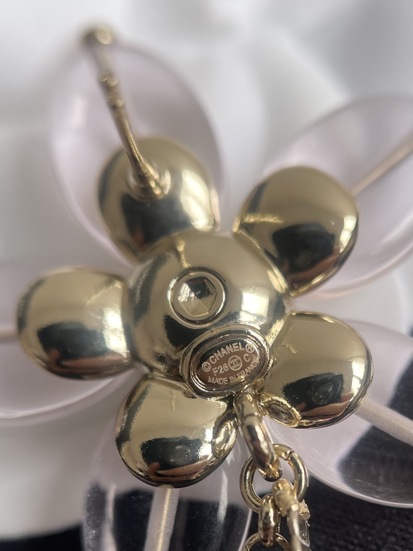 wsxc1769877667513_7.jpg wsxc1769877667513_7.jpg