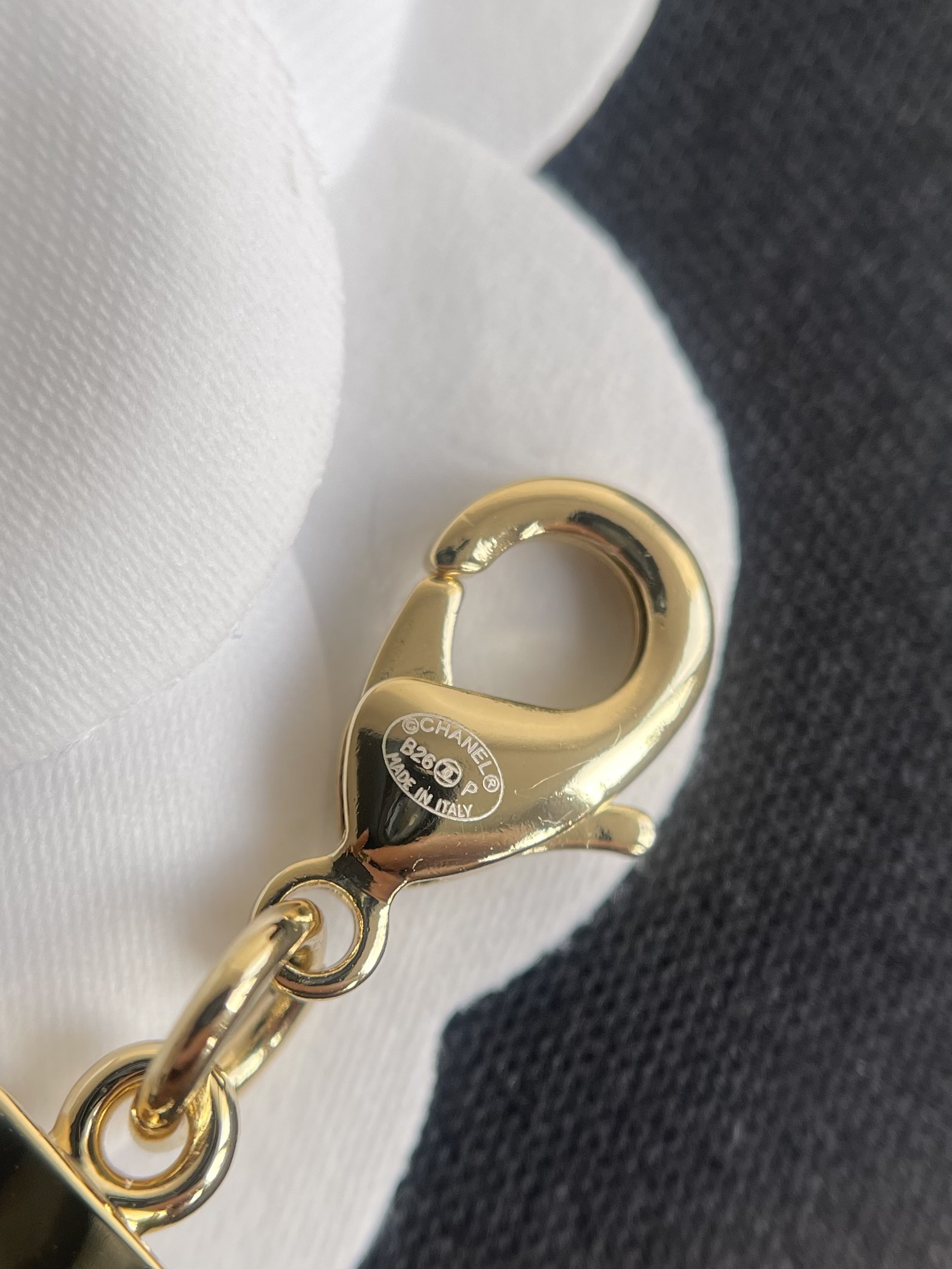 wsxc1771018528585_6.jpg wsxc1771018528585_6.jpg