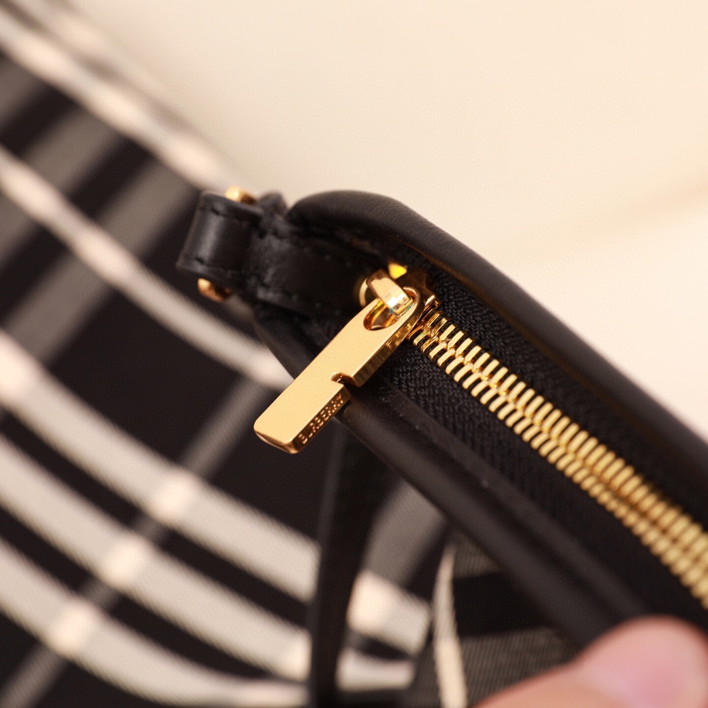 wsxc1771259901563_7.jpg wsxc1771259901563_7.jpg