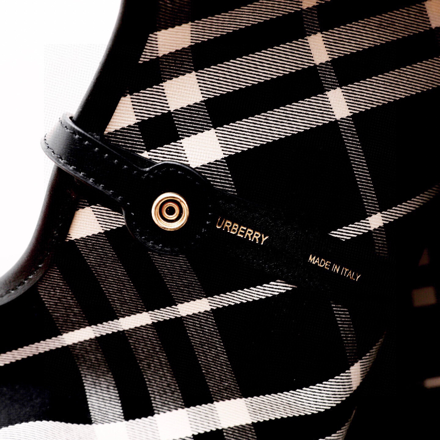 wsxc1771260154034_5.jpg wsxc1771260154034_5.jpg