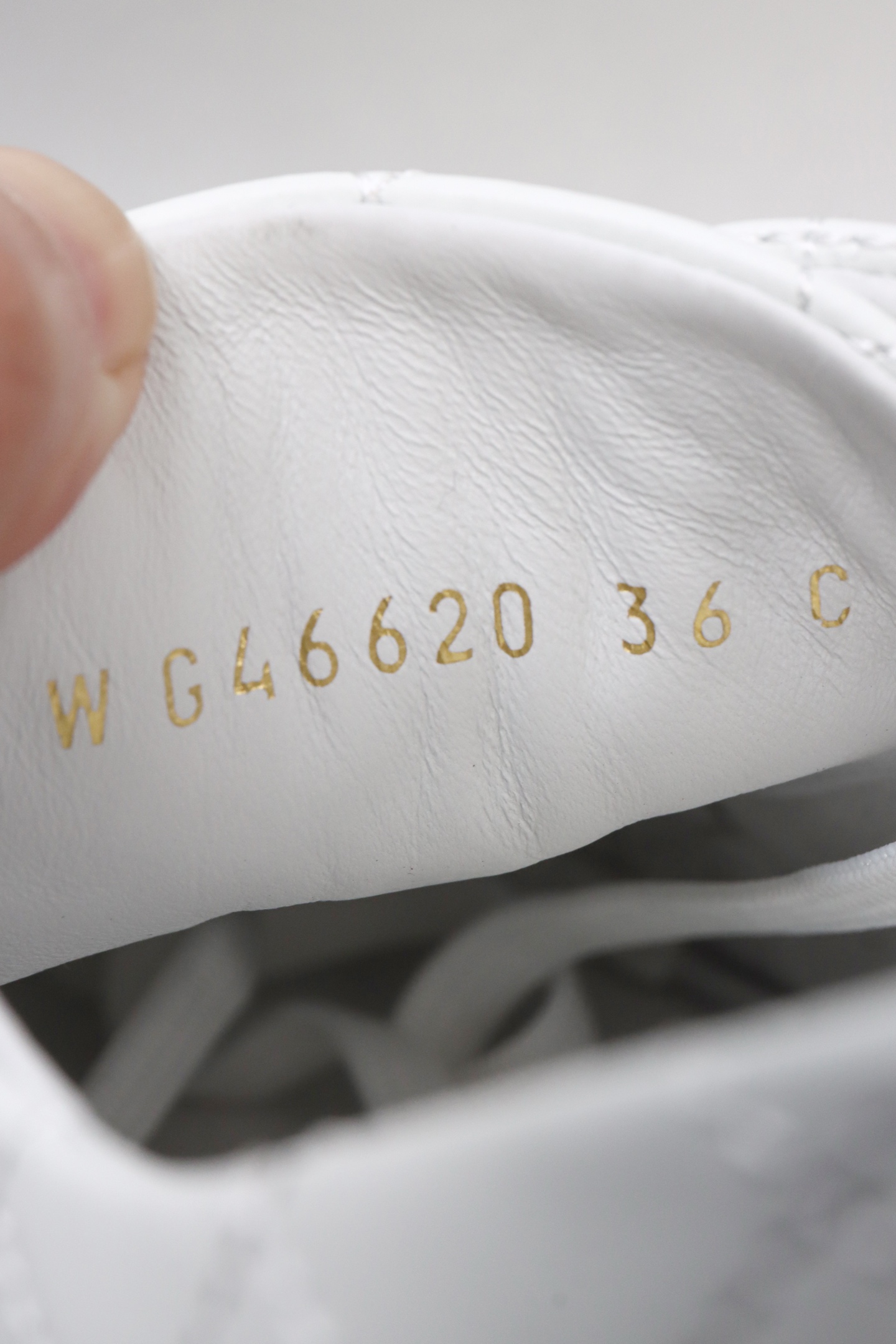 wsxc1771867769070_5.jpg wsxc1771867769070_5.jpg