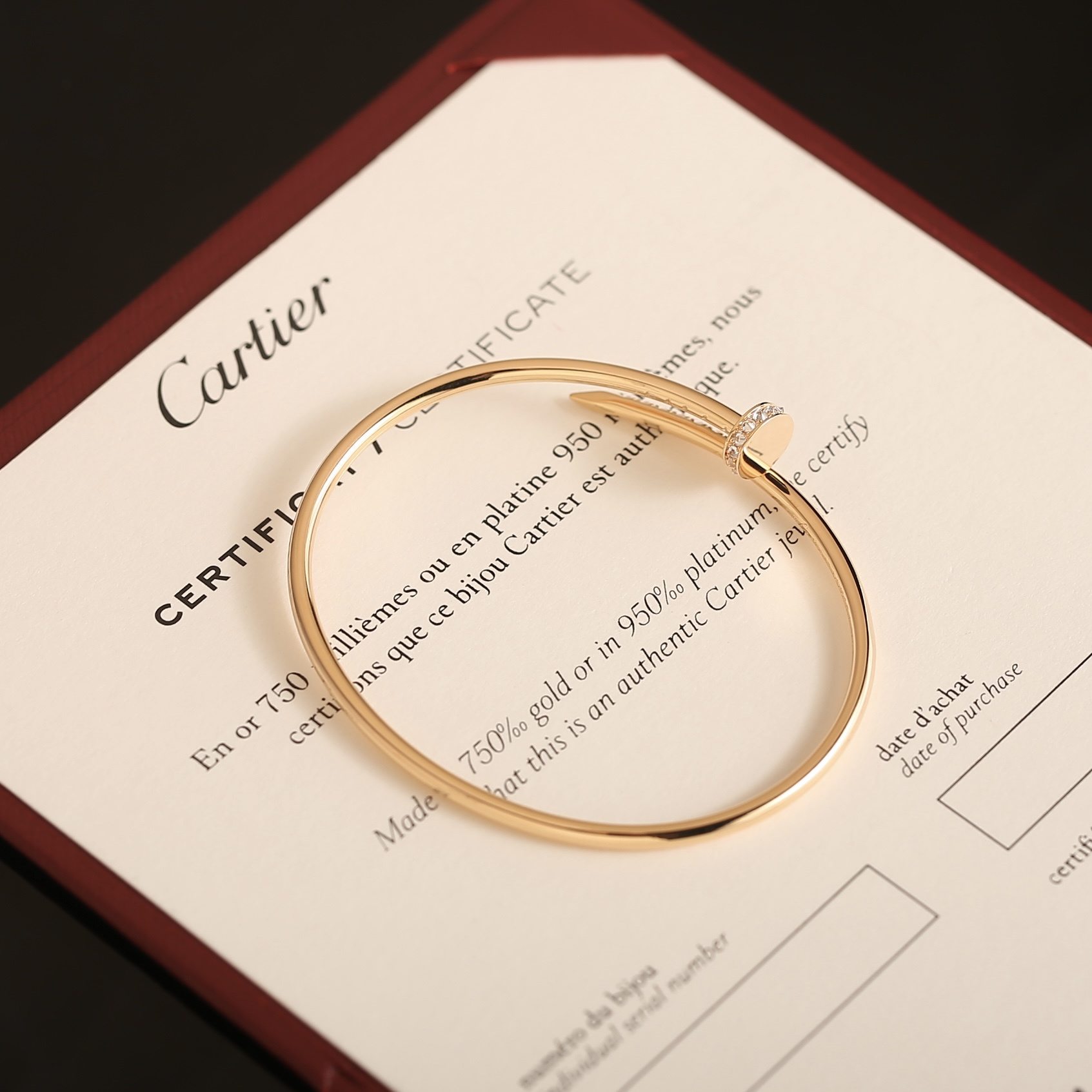 wsxc1771871897566_6.jpg wsxc1771871897566_6.jpg