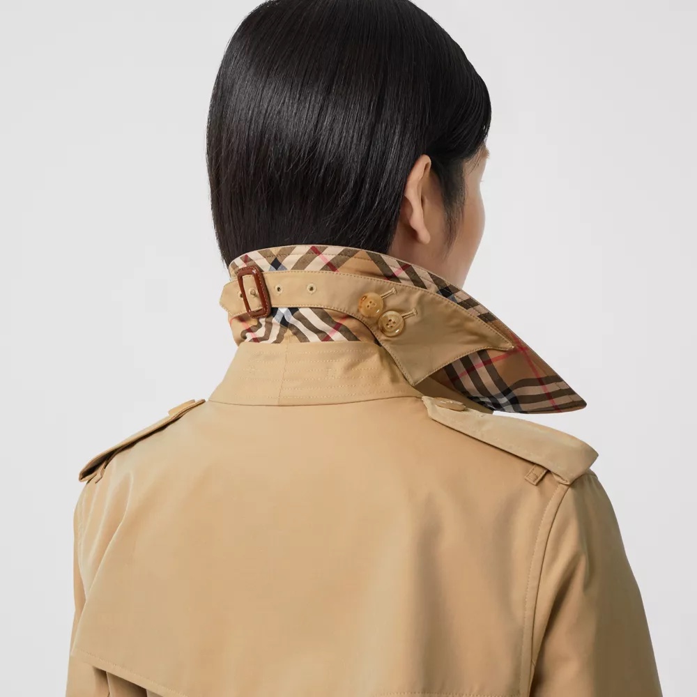 wsxc1772578497950_4.jpg wsxc1772578497950_4.jpg