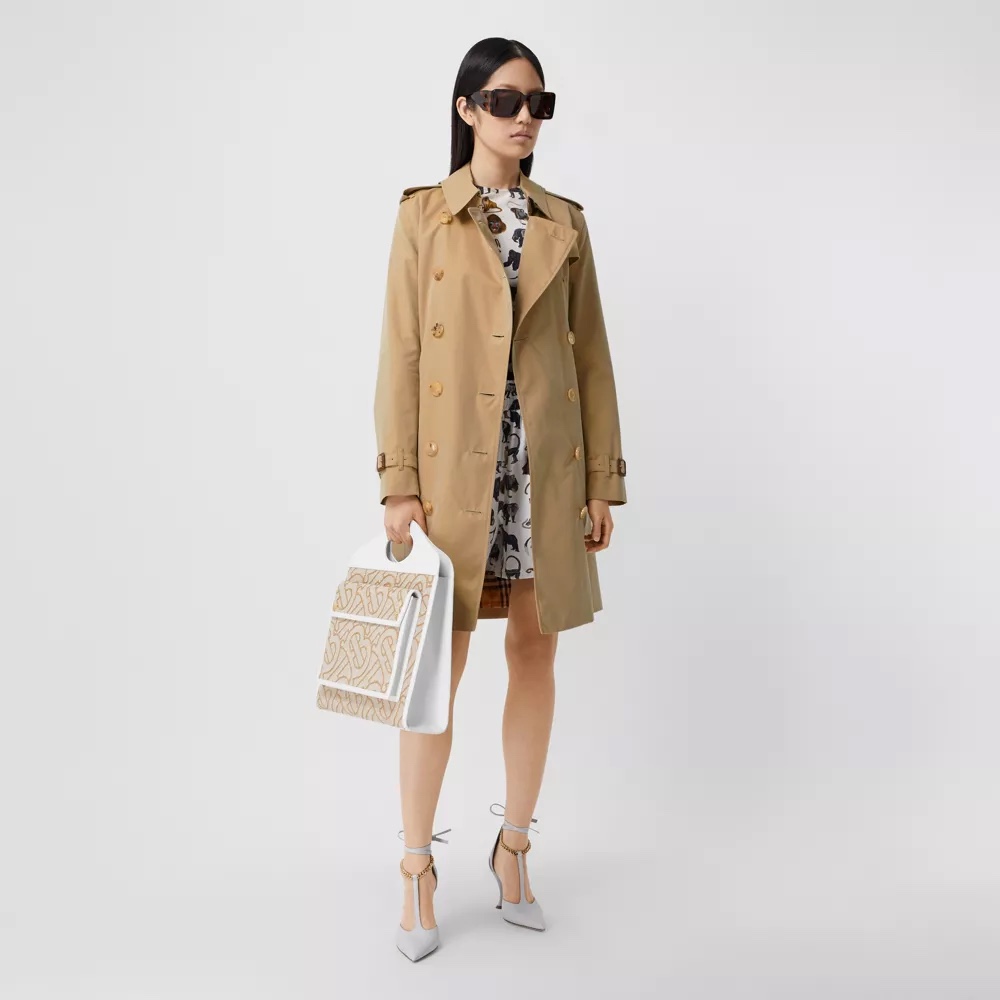 wsxc1772578497950_5.jpg wsxc1772578497950_5.jpg