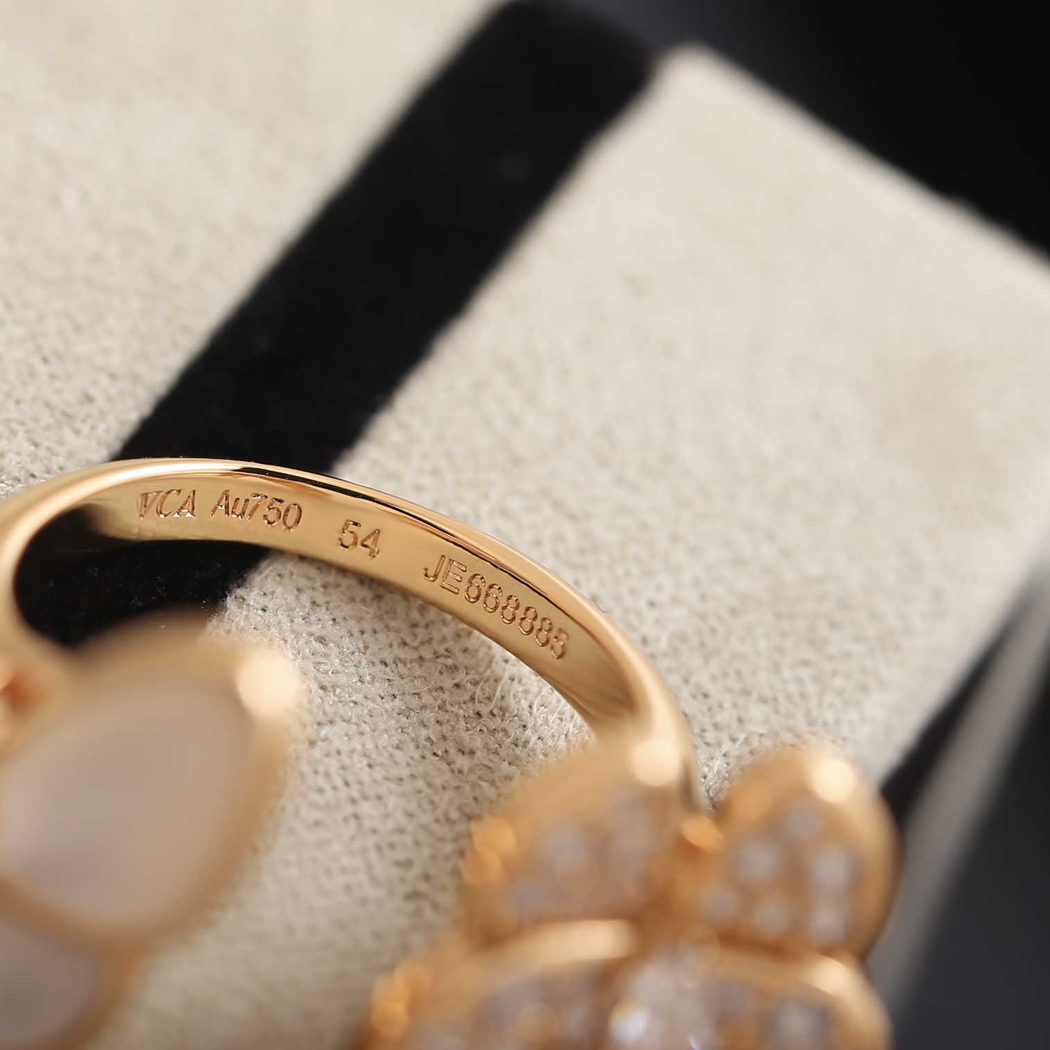 wsxc1773964891527_6.jpg wsxc1773964891527_6.jpg