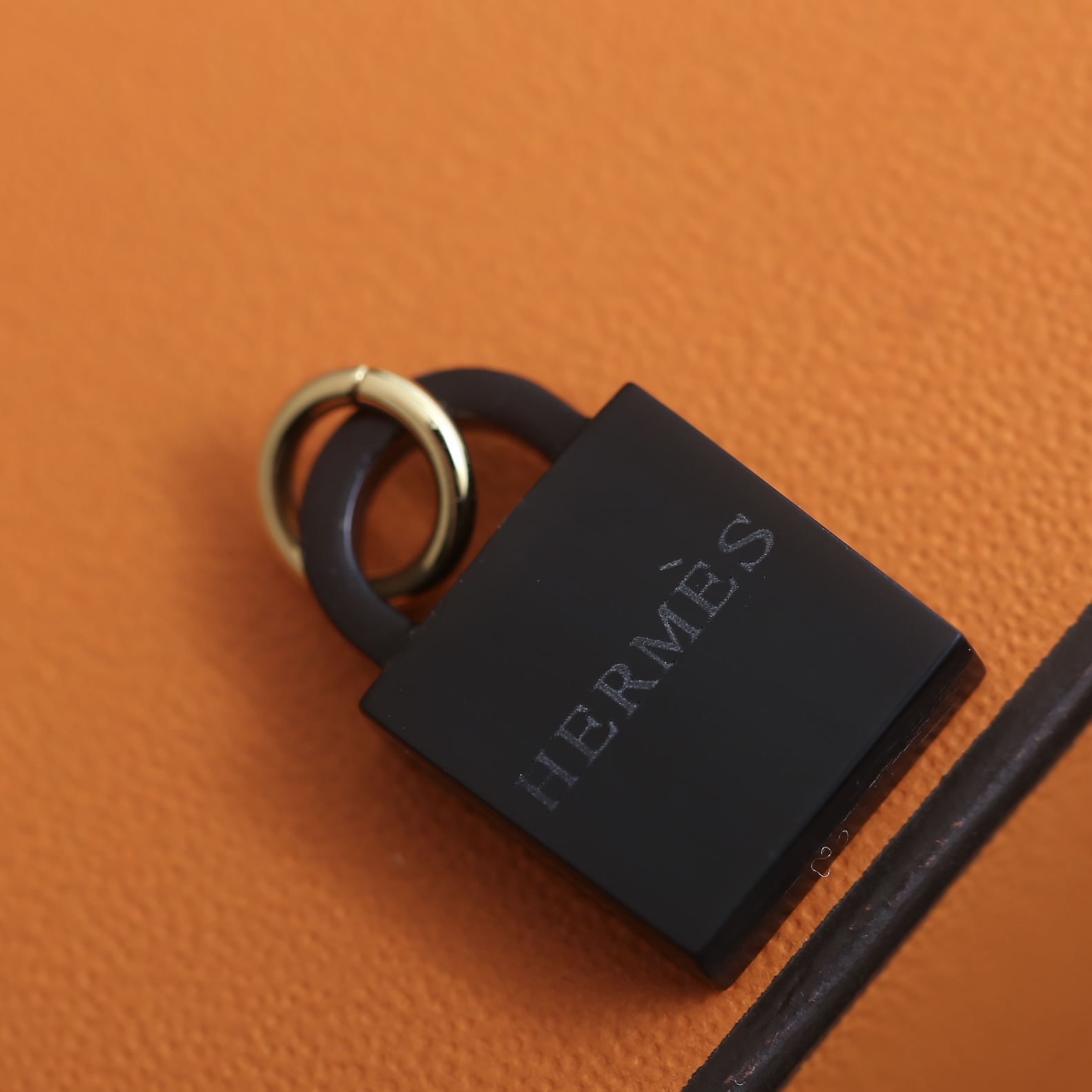 wsxc1773968330143_8.jpg wsxc1773968330143_8.jpg