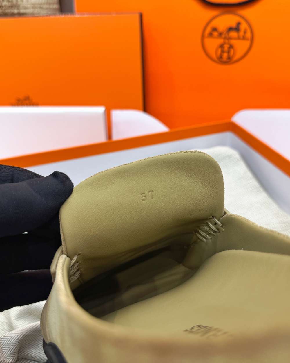 wsxc1776161856869_4.jpg wsxc1776161856869_4.jpg