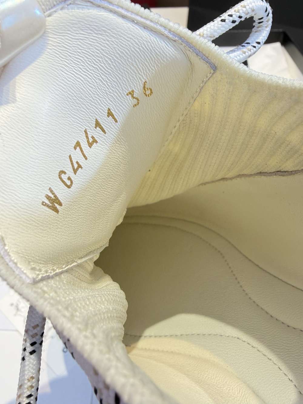 wsxc1785336204334_8.jpg
