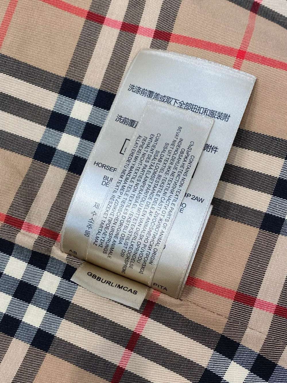 wsxc1786786954500_7.jpg